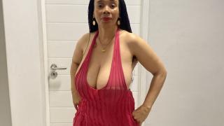 LorraineSeg Snapshot