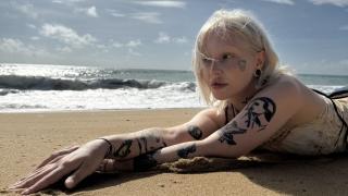 PollyFoxxy Snapshot