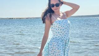 HoneyBoney Snapshot