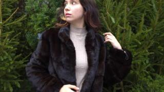 ViollaTorres Snapshot