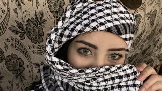 HavannaArab Snapshot