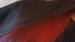 OuroborosAva Snapshot