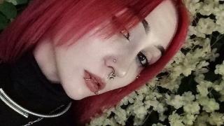 ScarletDenns Snapshot